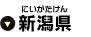 新潟県