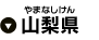 山梨県