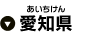 愛知県