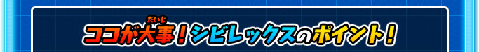 ココが大事！シビレックスのポイント！