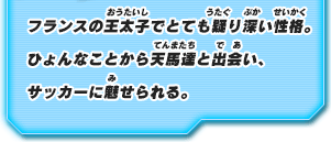 フランスの王太子でとても疑り深い性格。ひょんなことから天馬達と出会い、サッカーに魅せられる。