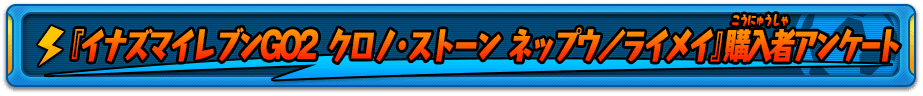 『イナズマイレブンGO2 クロノ・ストーン ネップウ／ライメイ』購入者アンケート