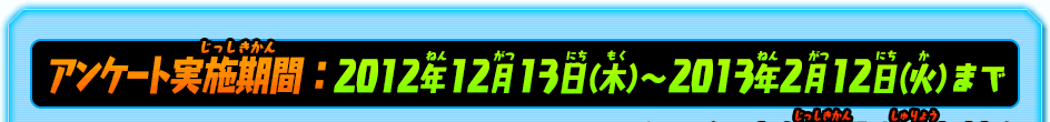 TSUTAYAでDS アンケート実施期間：2012年12月13日（木）～ 2013年2月12日(火）まで