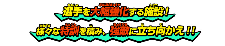 選手を大幅強化する施設！様々な特訓を積み、強敵に立ち向かえ！！