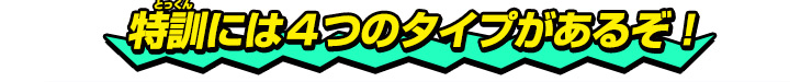 特訓には４つのタイプがあるぞ！