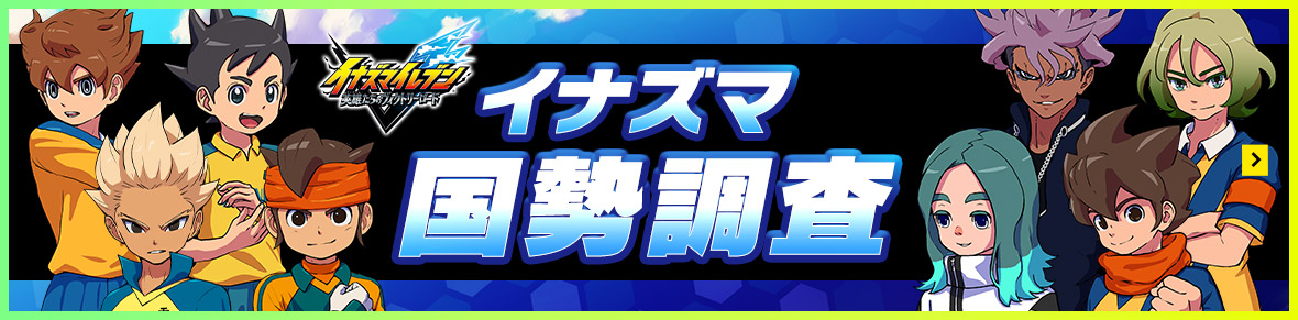 イナズマ国勢調査