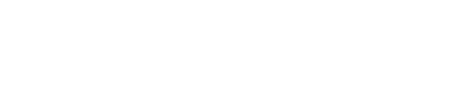 INA-DAI